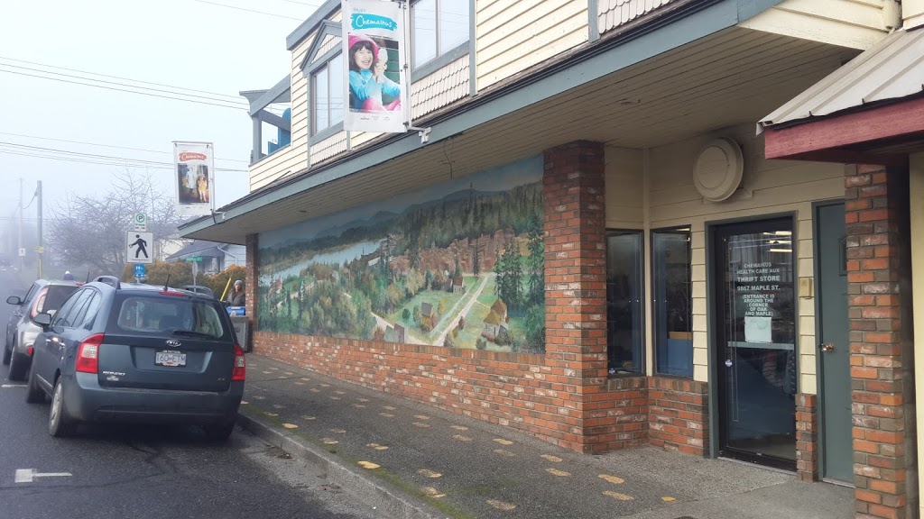 Chemainus Thrift Shop Health Care Auxiliary | 9867 Maple St, Chemainus, BC V0R 1K1, Canada | Phone: (250) 246-2476