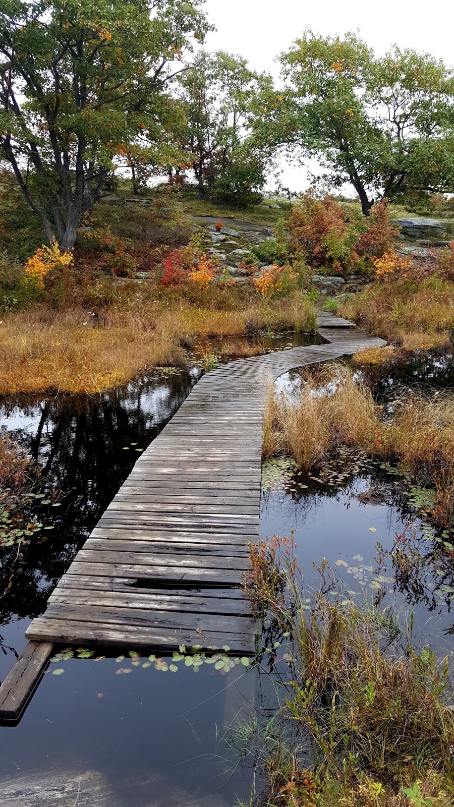 Torrance Barrens Dark-Sky Preserve | Southwood Rd, Gravenhurst, ON P0C 1M0, Canada | Phone: (800) 267-9700