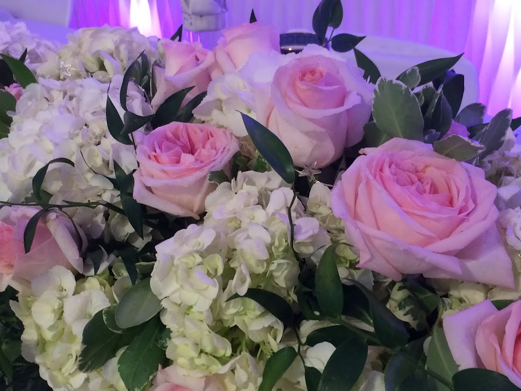 Open Sky Weddings | 171 Sharpecroft Blvd, North York, ON M3J 1P6, Canada | Phone: (647) 465-2850