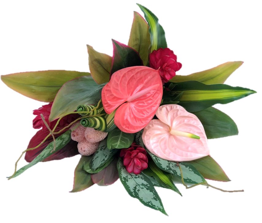 Spectrum Tropicals Inc | 325605 Norwich Rd, Norwich, ON N0J 1P0, Canada | Phone: (519) 732-8323