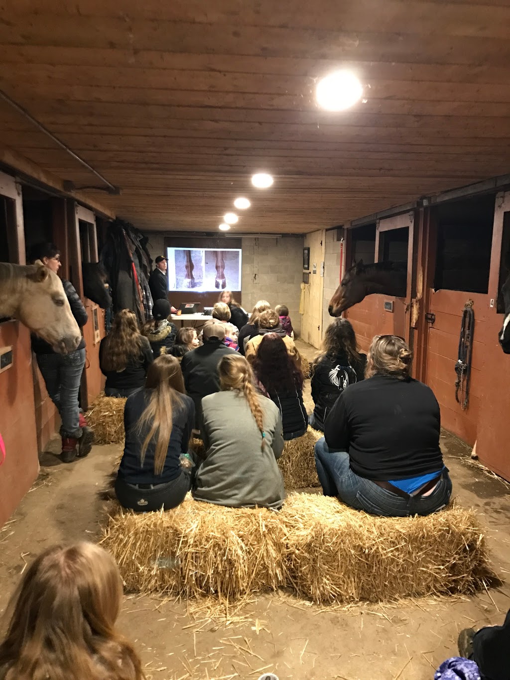 Effingham Stables | 2366 Effingham St, Ridgeville, ON L0S 1M0, Canada | Phone: (289) 969-3476