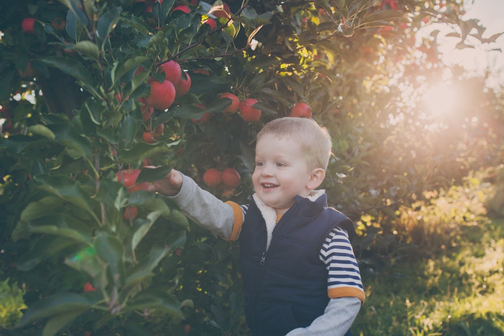 Unfrozen Photography | Waterloo, ON N2L 5R7, Canada | Phone: (519) 616-2390