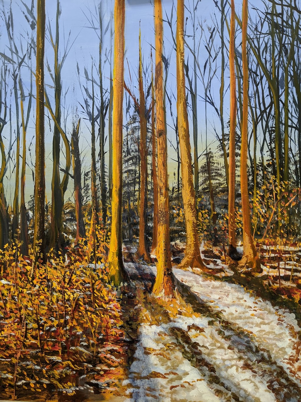 Barrie Art Club | 11 King St Unit 8, Barrie, ON L4N 6B5, Canada | Phone: (705) 726-0215