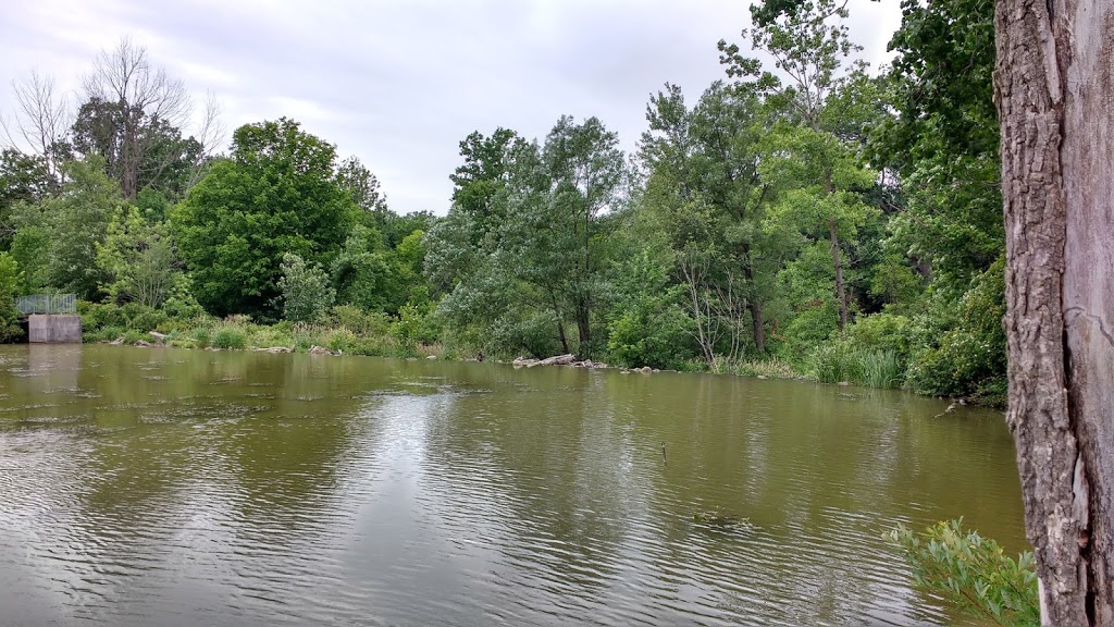 Coldstream Conservation Area | Quaker Ln, Middlesex Centre, ON N0M 2A0, Canada