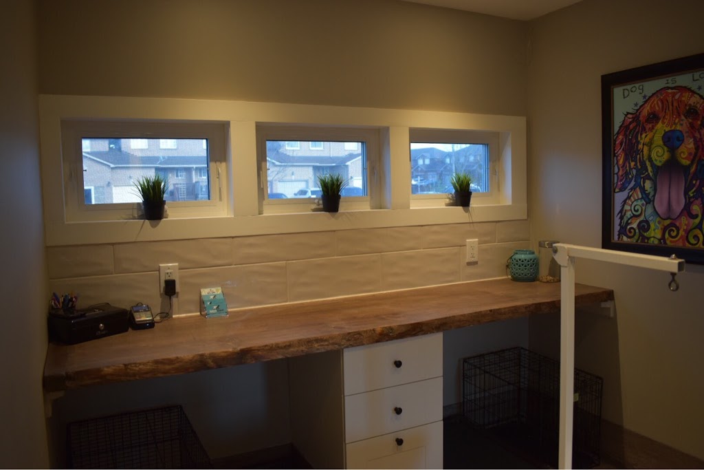 Chip & Co. Grooming | 101 Lee Crescent, Barrie, ON L4N 9Z4, Canada | Phone: (705) 321-0033