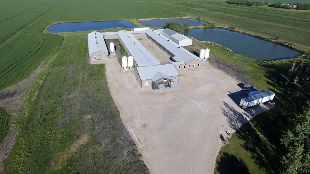 Siemens Farms | SW-27-5-1E, Rosenort, MB R0G 1W0, Canada | Phone: (204) 712-6763
