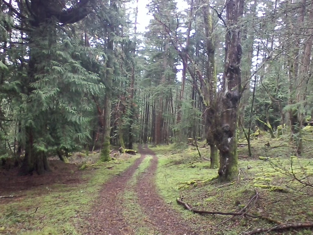 Breezy Bay Bed & Breakfast | 131 Payne Rd, Saturna, BC V0N 2Y0, Canada | Phone: (250) 539-5957