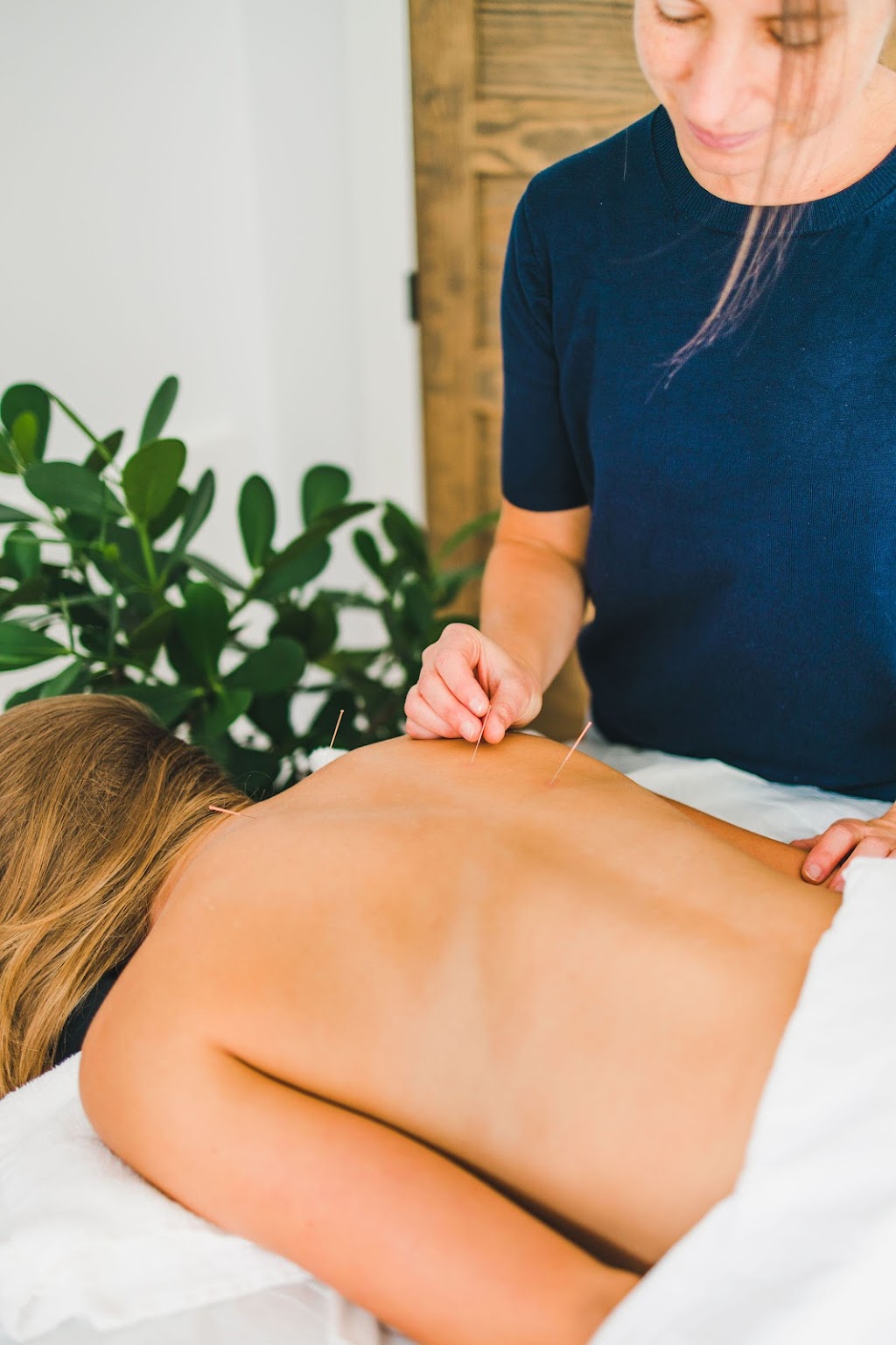 Acupuncture Paule Grandmaison-Audette - Magog-Orford | 49 Rue du Sirocco, Orford, QC J1X 7H1, Canada | Phone: (819) 640-5657