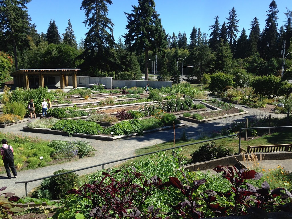 Food Garden | 6804 SW Marine Drive, Vancouver, BC V6T 1Z2, Canada | Phone: (604) 822-3928