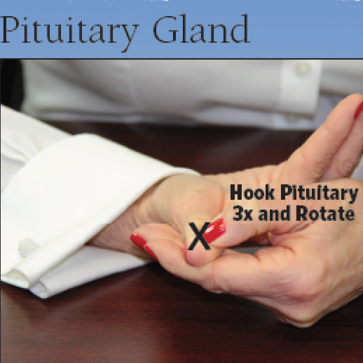Sole Power Reflexology | 233 Stone Rd, Aurora, ON L4G 6Y8, Canada | Phone: (905) 727-8605