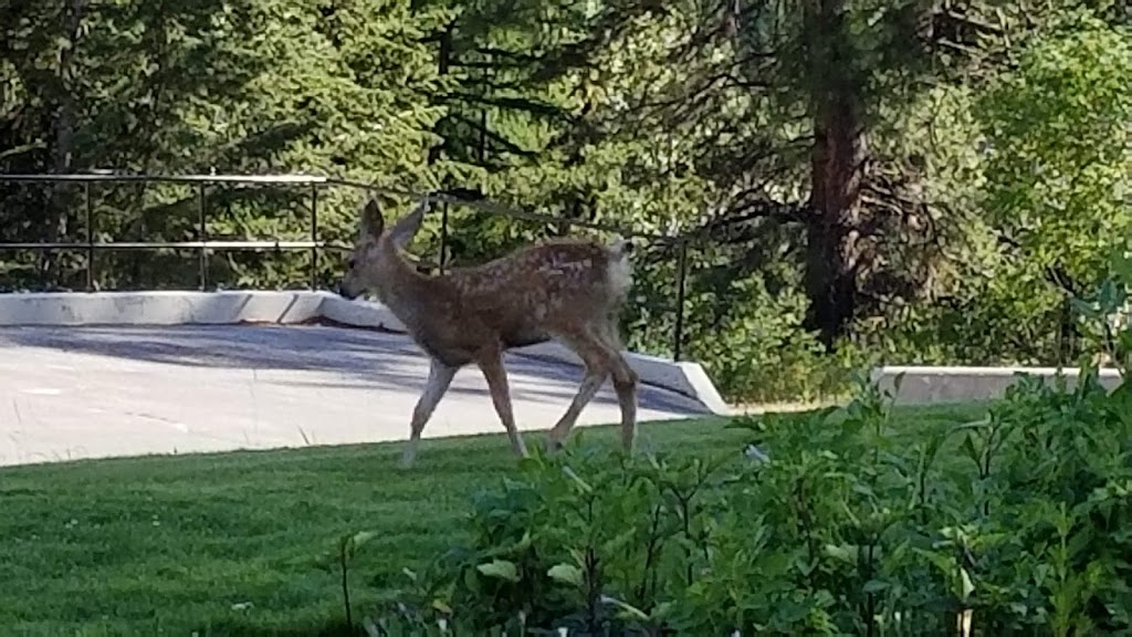 Cominco Gardens | 290 Rossland Blvd, Kimberley, BC V1A 2R6, Canada | Phone: (250) 427-2293