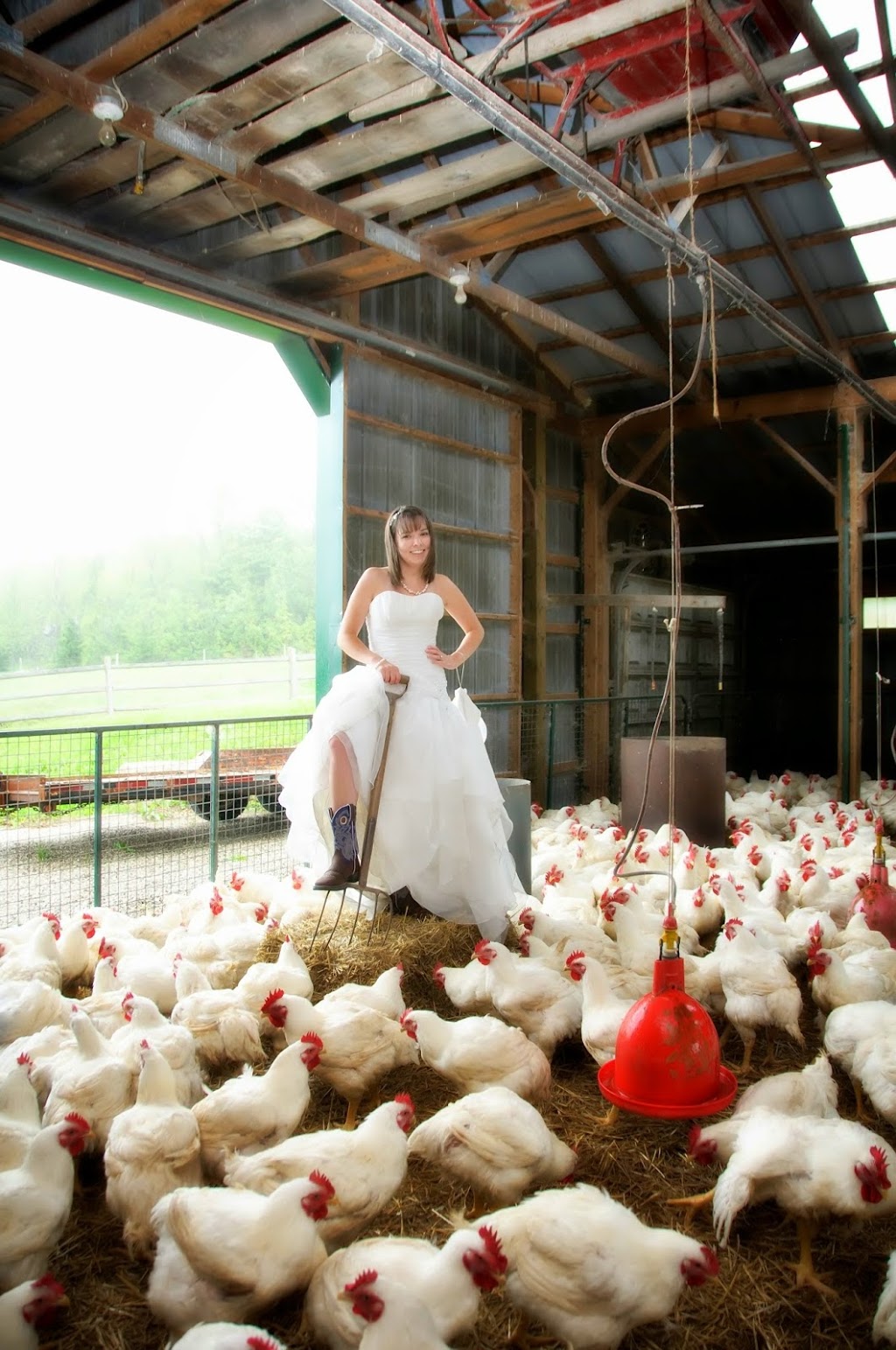 Nina Murray Photography | 406195 Grey County Rd 4, Flesherton, ON N0C 1E0, Canada | Phone: (705) 617-1220
