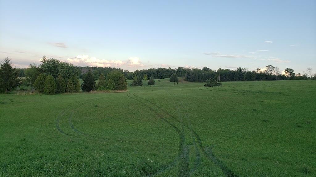 Dreamcrest Equestrian Services | 2130 Shirley Rd, Port Perry, ON L9L 1B3, Canada | Phone: (905) 985-1599