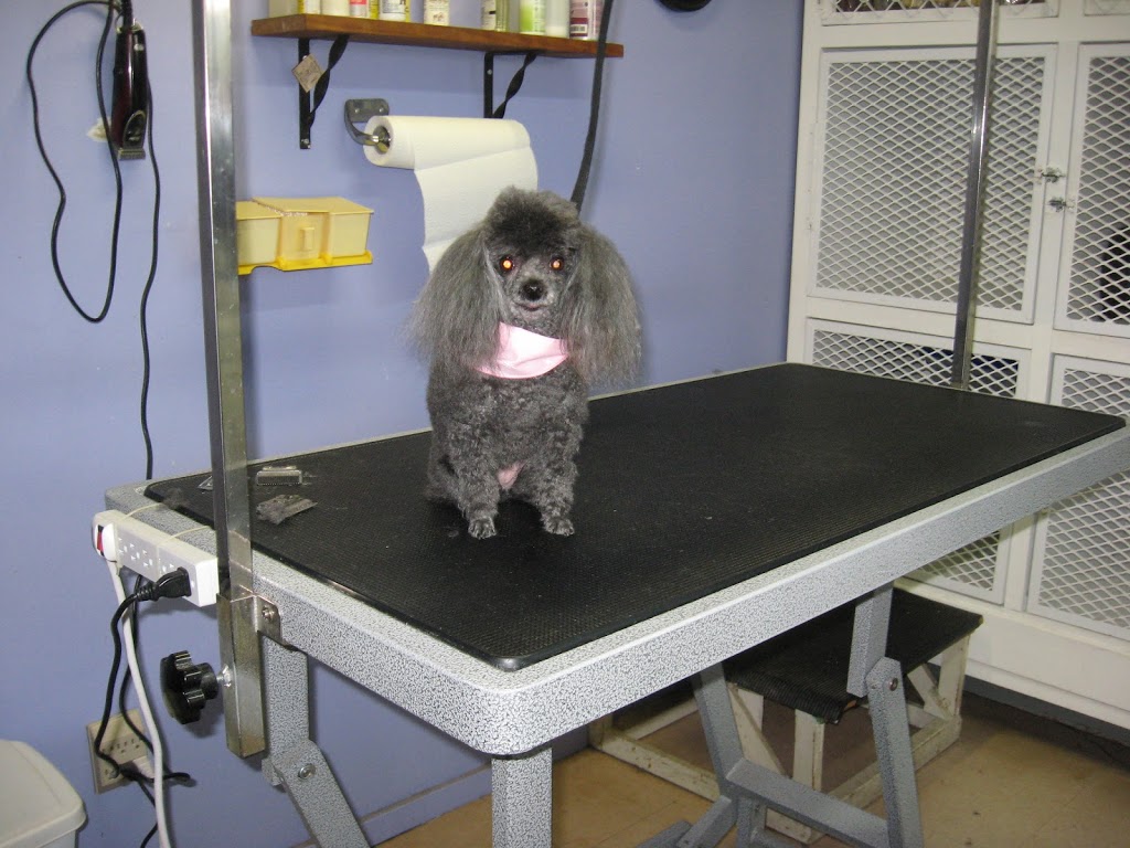 Aux PTits Soins | 191 QC-216, Stoke, QC J0B 3G0, Canada | Phone: (819) 878-3246