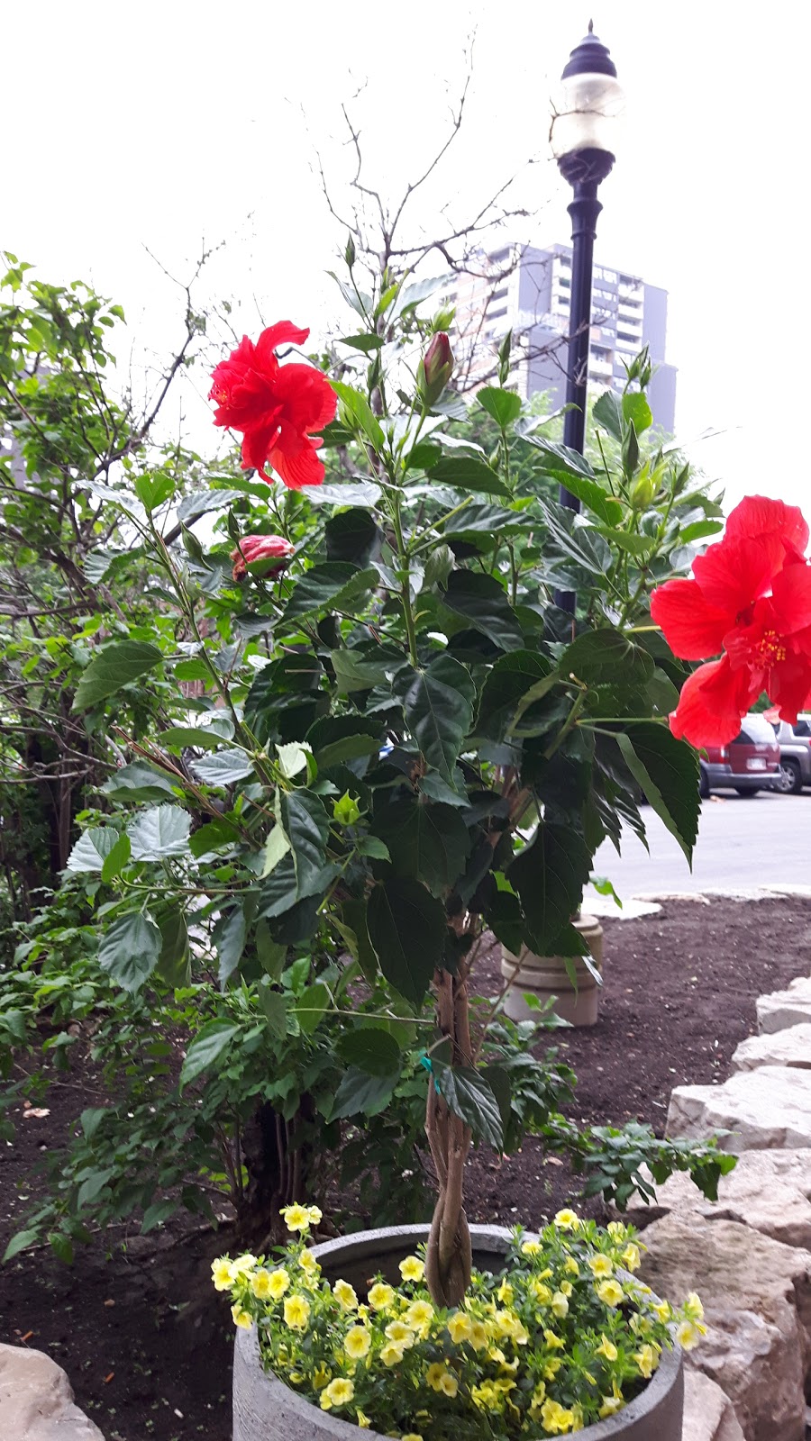 Eastdale Parkette | Eastdale Parkette, 110 Eastdale Ave, East York, ON M4C 5A1, Canada | Phone: (416) 392-2489