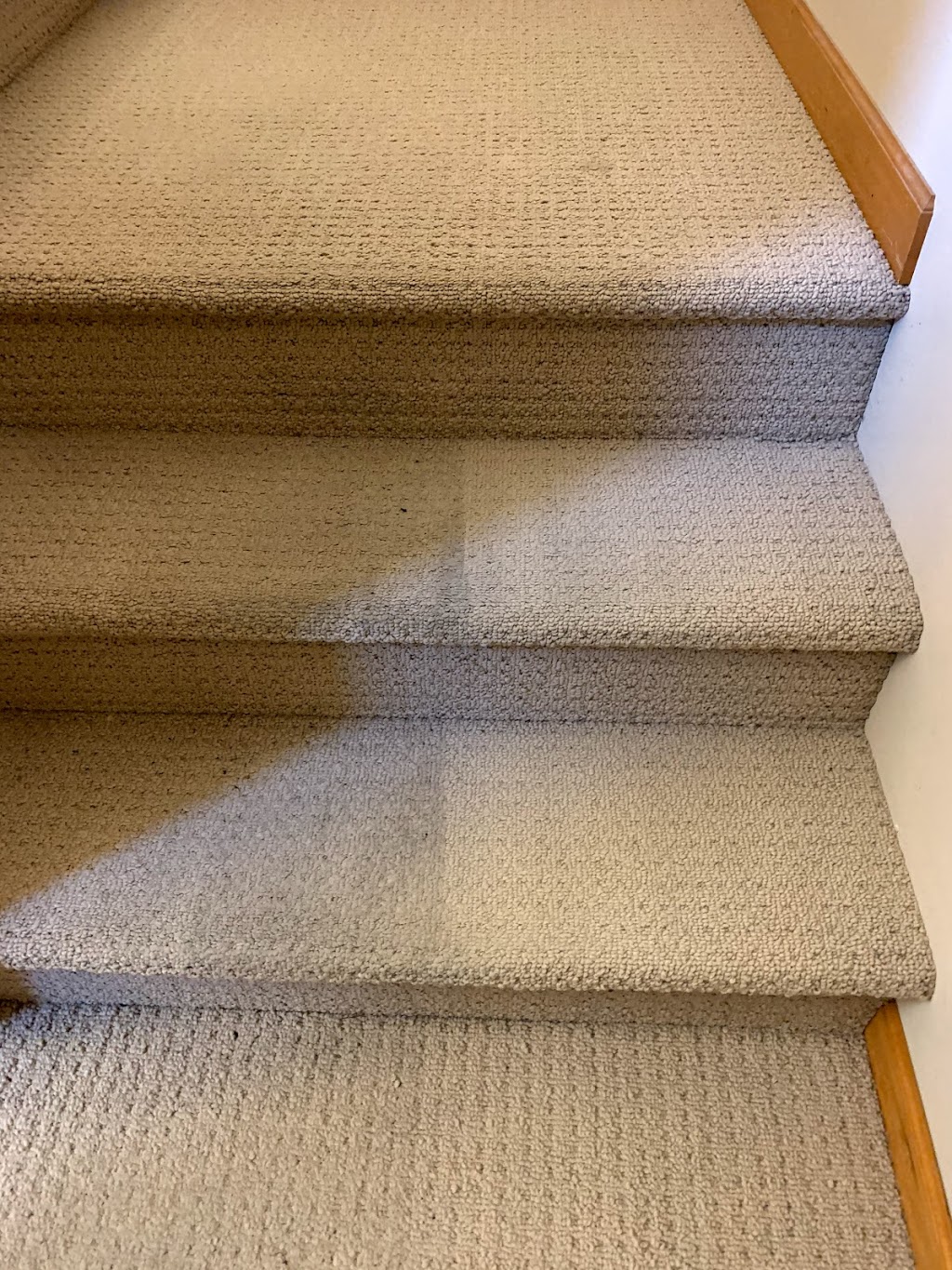 Williams Carpet Cleaning Coquitlam | 2044 Kugler Ave, Coquitlam, BC V3K 2S6, Canada | Phone: (604) 518-0878