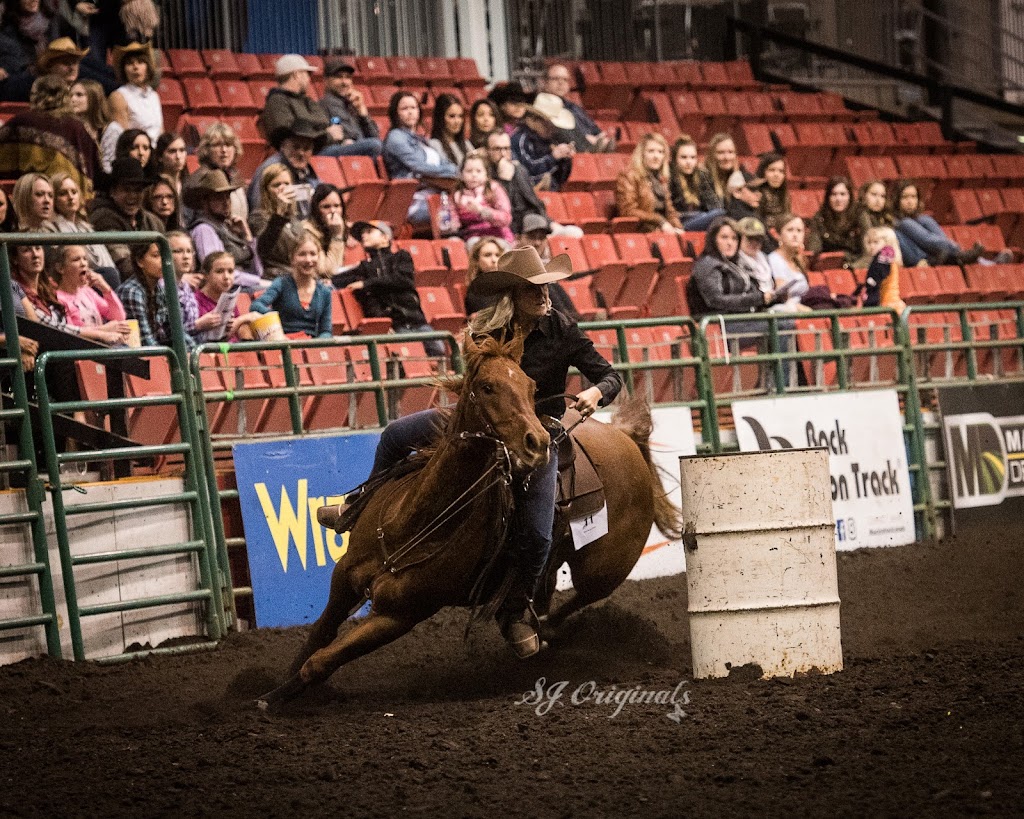 Dustin Grams All Around Horsemanship | Rolly View, AB T4X 0Z4, Canada | Phone: (780) 980-3436