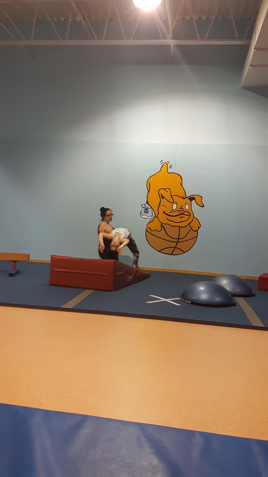 Bulldog Interactive Fitness | 259 Grange Rd, Guelph, ON N1E 6R5, Canada | Phone: (519) 836-3838