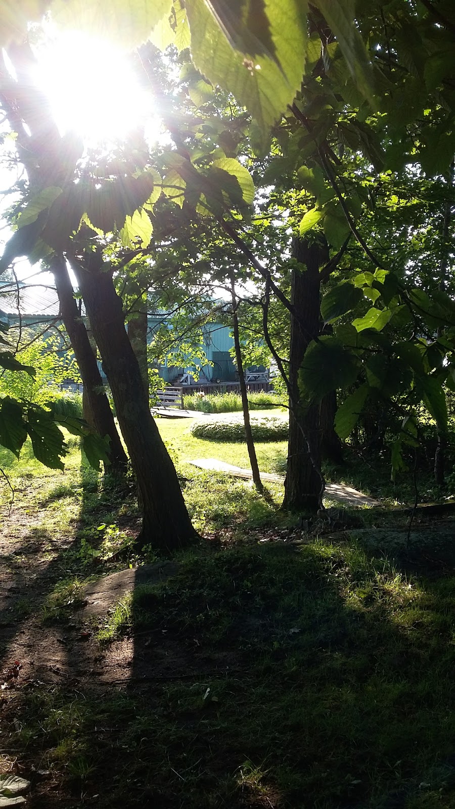 Georgian Bay Landing | Honey Harbour, ON P0E 1E0, Canada | Phone: (705) 756-2495
