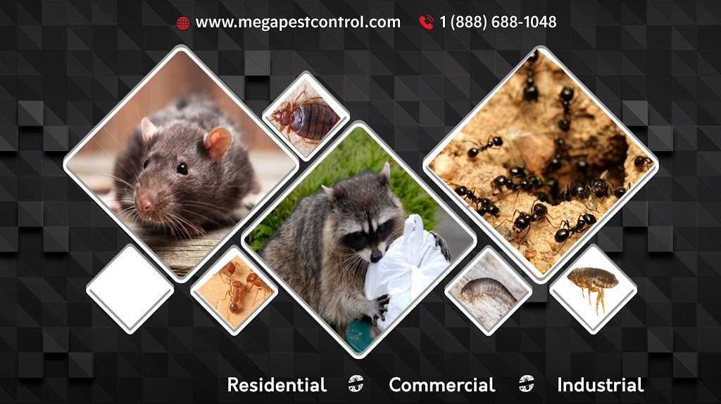 Mega Pest Control | 13781 57b Ave, Surrey, BC V3X 2V2, Canada | Phone: (604) 866-8616