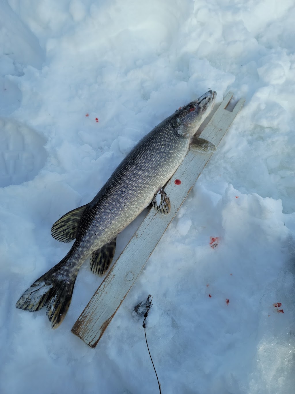 Centre de pêche sur glace | 340 Route du Long-Sault, Saint-André-dArgenteuil, QC J0V 1X0, Canada | Phone: (450) 537-3100
