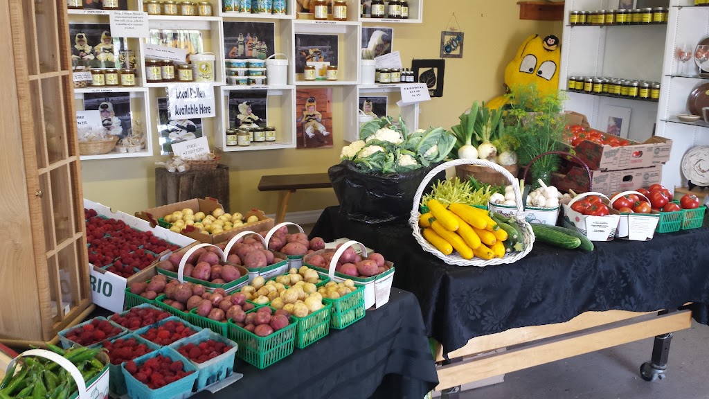 Hive N Hoe Country Store | 678 Kincardine Ave, Kincardine, ON N2Z 2W3, Canada | Phone: (519) 396-3529