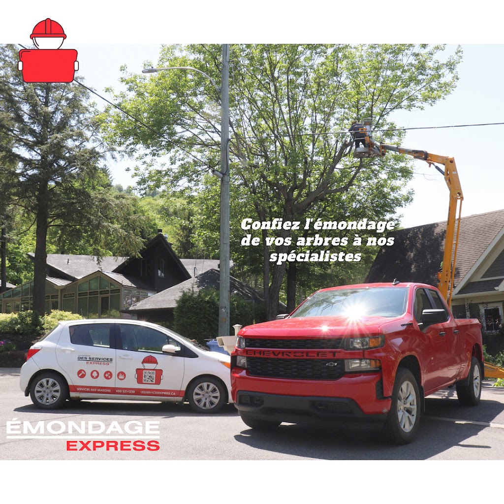 Émondage Express | 99A Bd de lAéroport, Bromont, QC J2L 1S8, Canada | Phone: (833) 624-7669