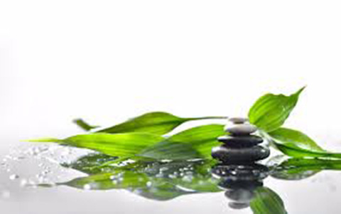 Caroline Martin | Conseillère Épicure et Naturopathe | Charlesbo | 304 Rue de lÉpilobe, Québec, QC G3G 3C6, Canada