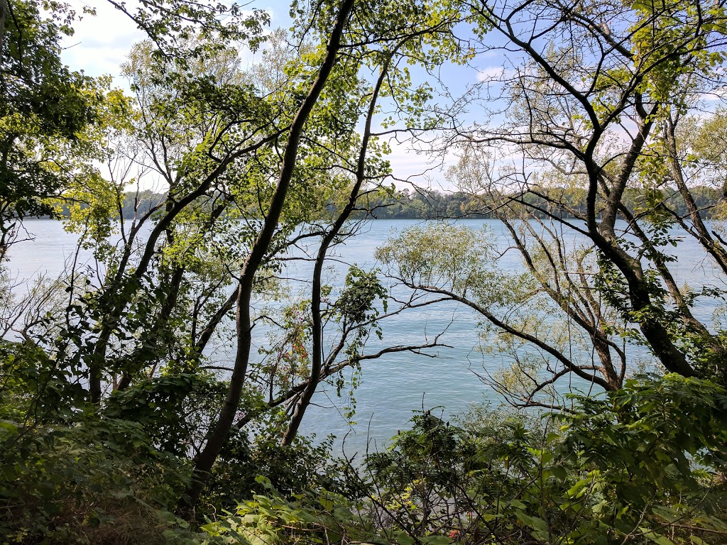 Joseph Davis State Park | Youngstown, NY 14174, USA | Phone: (716) 754-8213