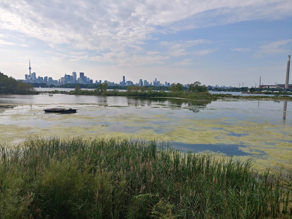 Environmental Outdoor Classroom | Unnamed Road, Toronto, ON M4M, Canada