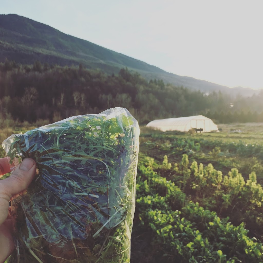 Aslan Organics | 3832 Michigan Line, Camlachie, ON N0N 1E0, Canada | Phone: (226) 886-2510