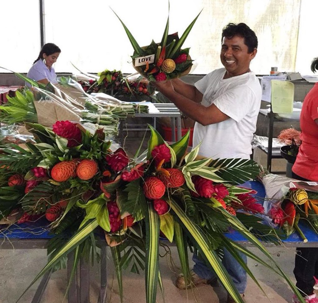 Spectrum Tropicals Inc | 325605 Norwich Rd, Norwich, ON N0J 1P0, Canada | Phone: (519) 732-8323