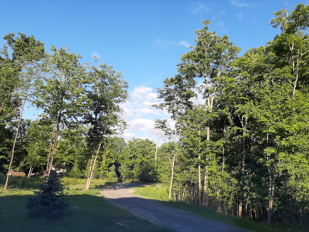 Max M K. | 190 Ridgeview Rd, Haliburton, ON K0M, Canada | Phone: (416) 801-8120