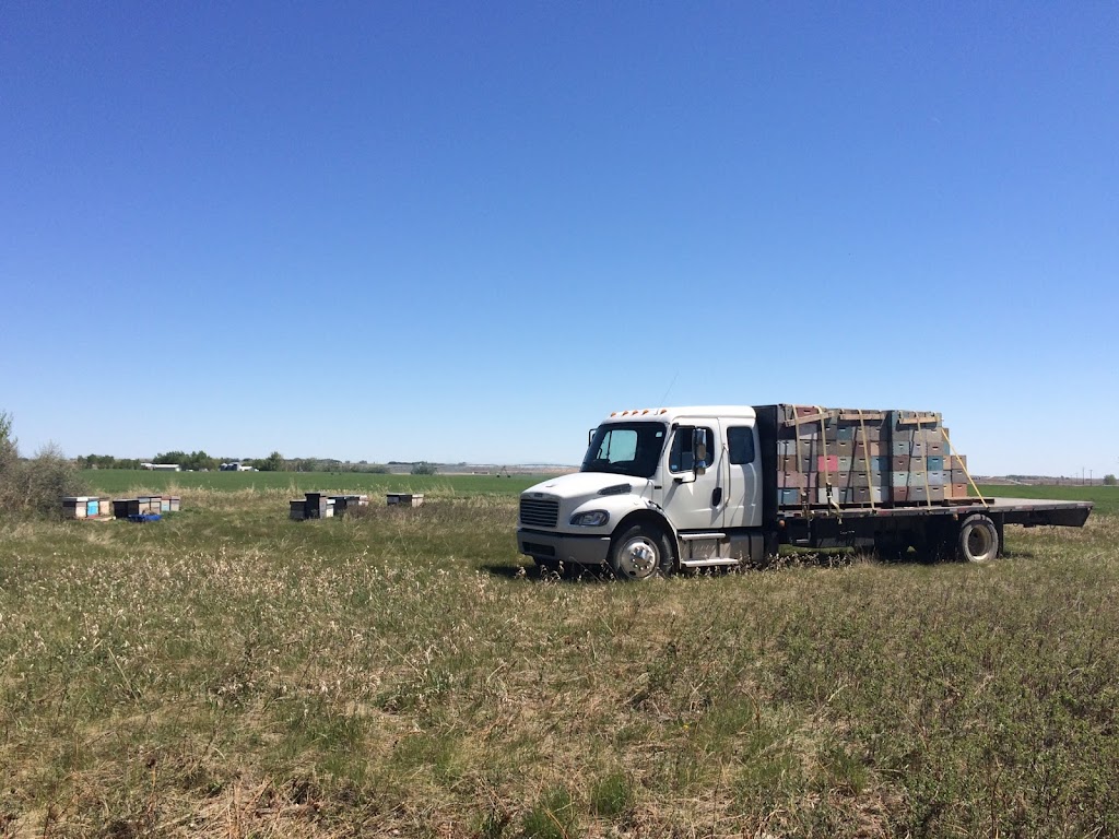 Honey Meadows Farm Inc | 290045 192st East, AB T1S 4A3, Canada | Phone: (403) 701-2804