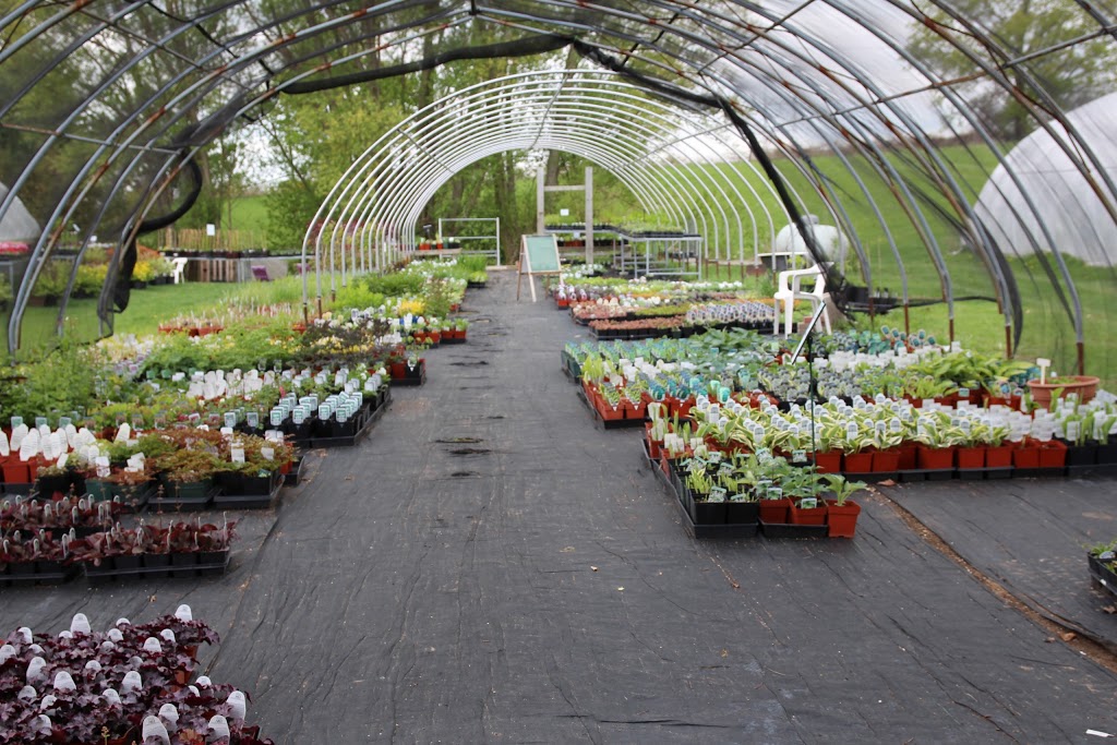 The Garden Path | 7233 Brown Rd, Orono, ON L0B 1M0, Canada | Phone: (905) 983-9579