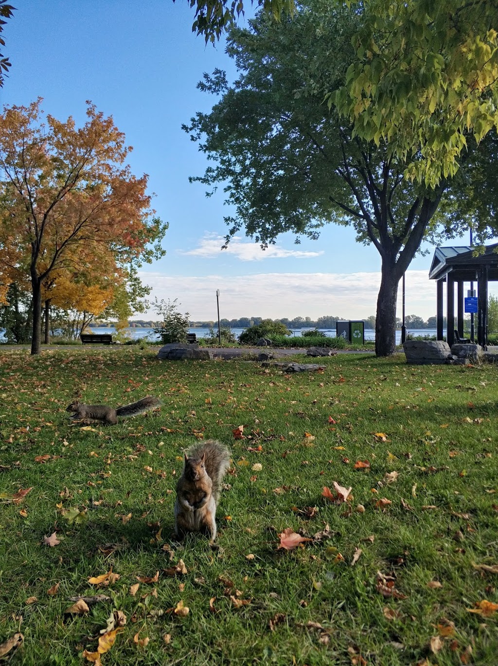 Park Capture-dEthan-Allen | 8500 Rue Bellerive, Montréal, QC H1L 5G5, Canada