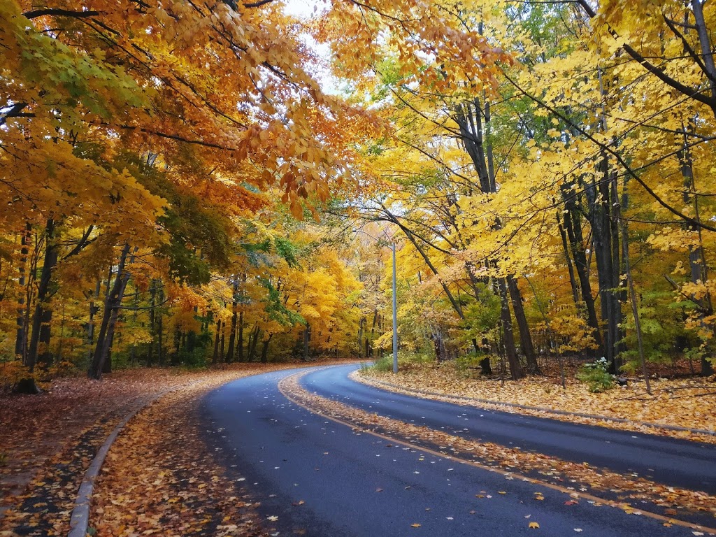 Meadow Wood Park | Mississauga, ON L5J 4T2, Canada