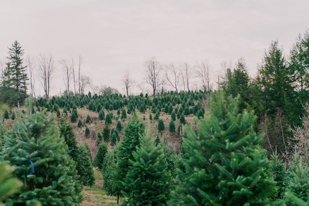 Plantations Stéphan Perreault | 331 QC-143, Val-Joli, QC J1S 0C1, Canada | Phone: (819) 845-1160
