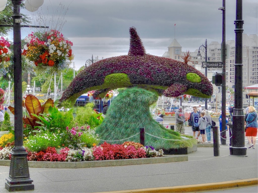 Victoria Harbour Ferry | 189 Dallas Rd, Victoria, BC V8V 1A1, Canada | Phone: (250) 708-0201