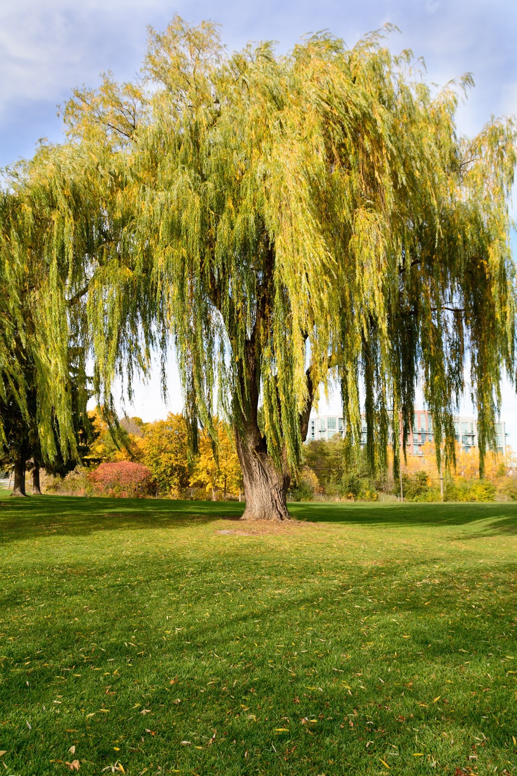 Grand Avenue Park | 1 Grand Ave, Etobicoke, ON M8Y, Canada | Phone: (416) 392-8188