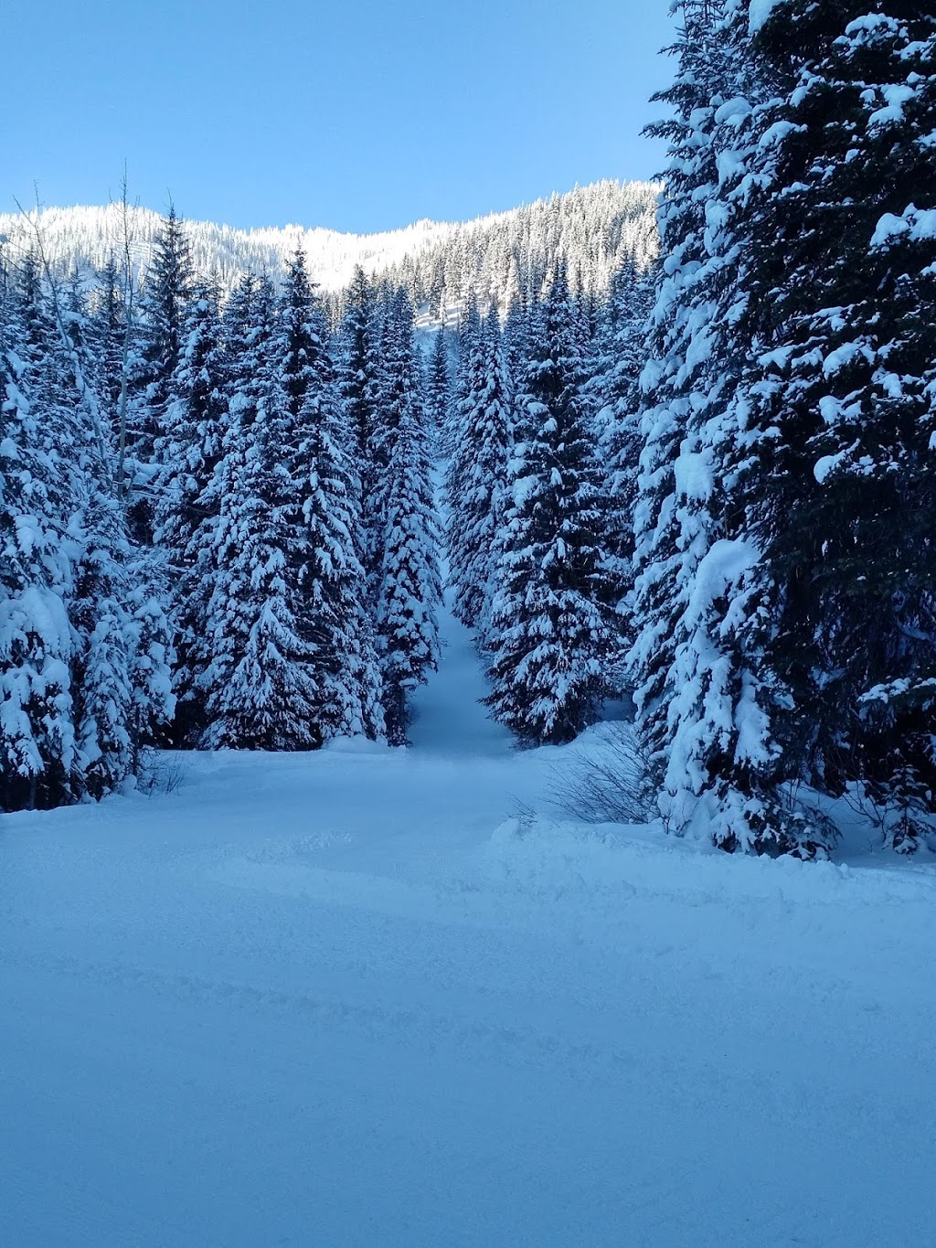 Capasiti Consulting Inc. | 430-400 Riverside Way, Fernie, BC V0B 1M7, Canada | Phone: (778) 371-8963