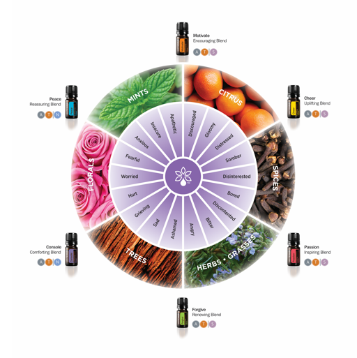 Witchy Woman Wellness | 3 Gibb St, Cambridge, ON N3C 4C2, Canada | Phone: (519) 580-1183
