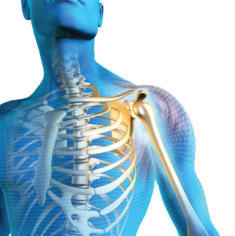 Lemay Jacinthe Physiothérapeute en Ostéopathique | 221chemin Freeman, bureau 190, Gatineau, QC J8Z 2A8, Canada | Phone: (819) 743-9191