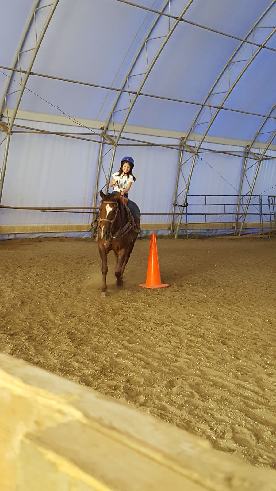 Sunwest Equine | Lac Ste. Anne County, AB T0E 1A0, Canada