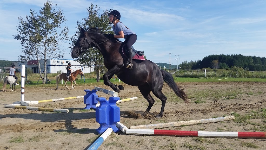 SEQS;Société DEquitation Quatre Saisons; | 6240 QC-112, Ascot Corner, QC J0B 1A0, Canada | Phone: (819) 829-4346