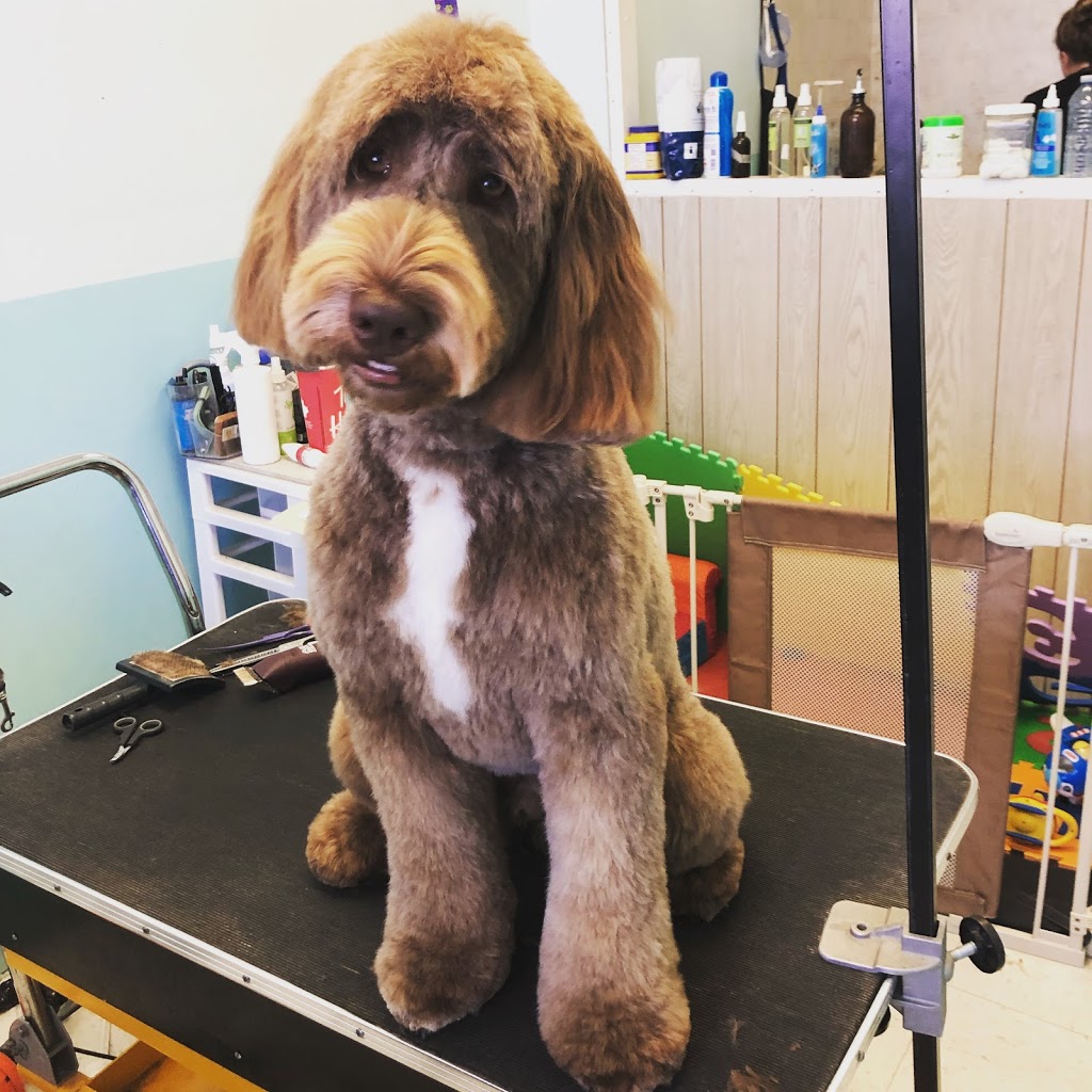 Bluffs Dog Grooming/Kristy’s Mutt Cutts | 2430 Kingston Rd, Scarborough, ON M1N 1V3, Canada | Phone: (416) 261-9855