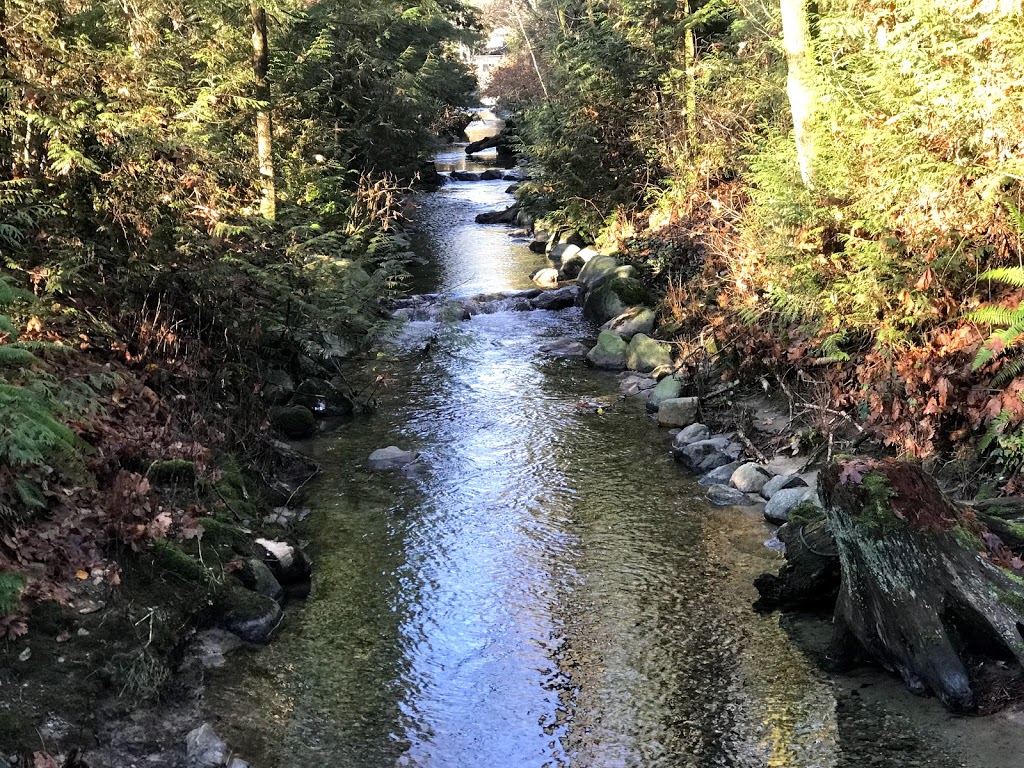 Hyde Creek Watershed Society | 3636 Coast Meridian Rd, Port Coquitlam, BC V3B 0E4, Canada | Phone: (604) 461-3474