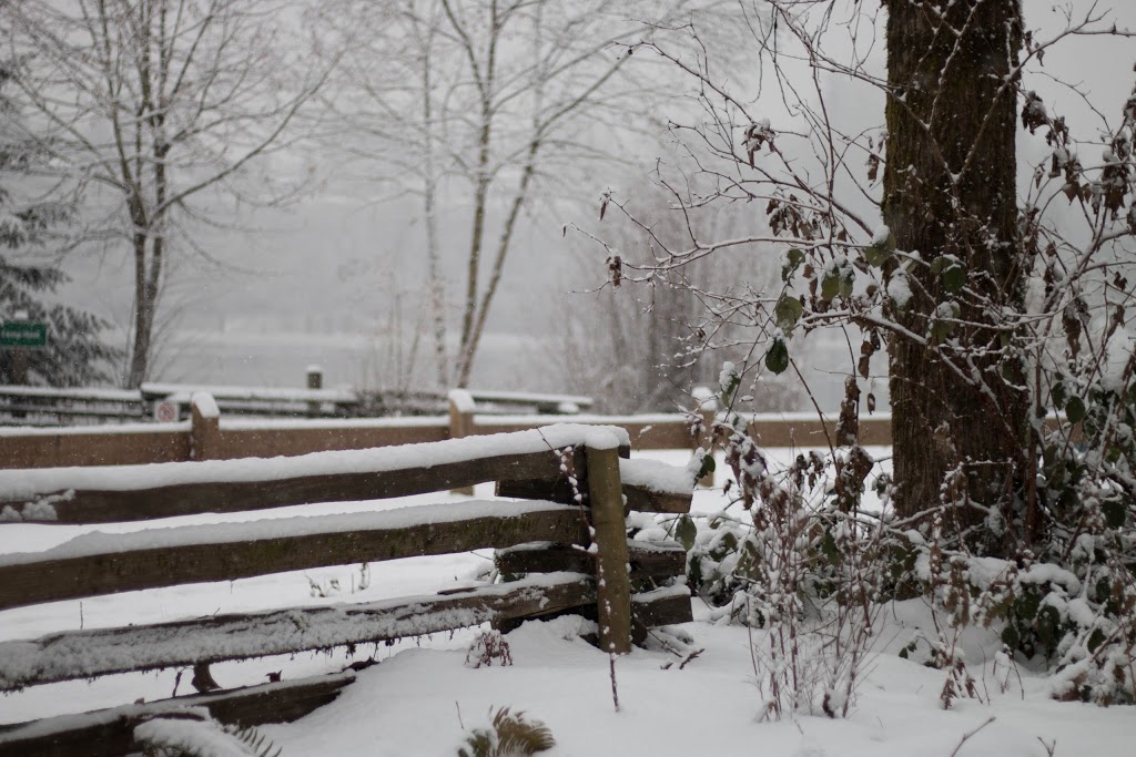 Edgewater Bar Campsite | 21801 Allard Crescent, Langley City, BC V1M 3V9, Canada | Phone: (604) 530-4983