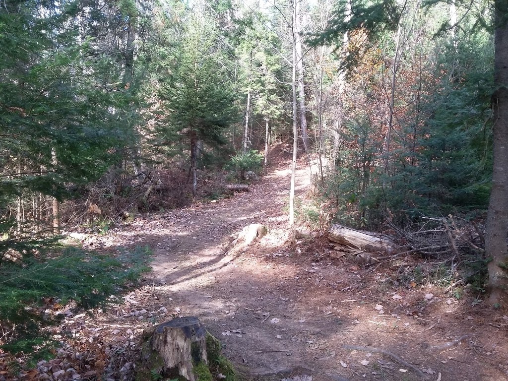 Plein air St-Adolphe | 1672 Chemin du Village, Saint-Adolphe-dHoward, QC J0T 2B0, Canada | Phone: (819) 327-3519