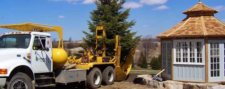 Treemaster Transplanters Ltd. | 3440 17th Sideroad, King City, ON L7B 1K4, Canada | Phone: (905) 773-2221